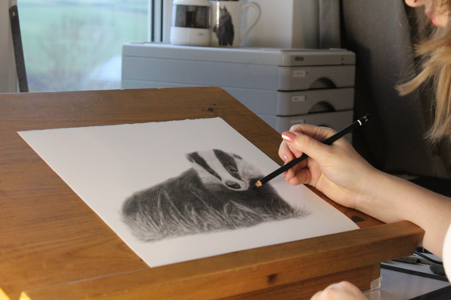 Bella Badger Drawing Original Graphite Pencil Artwork