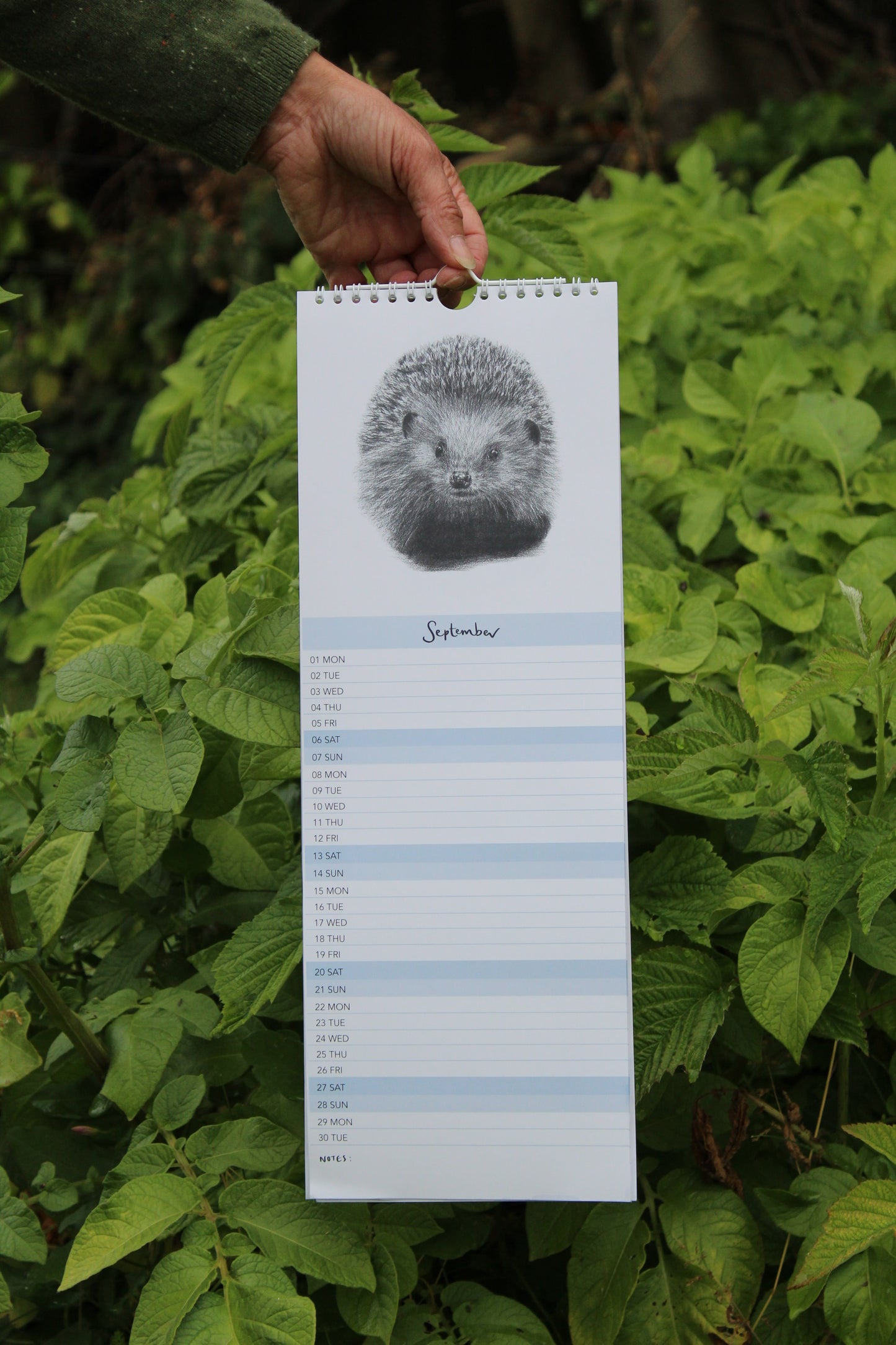 British Countryside 2025 Charity Calendar As Seen In Countryside Magazine