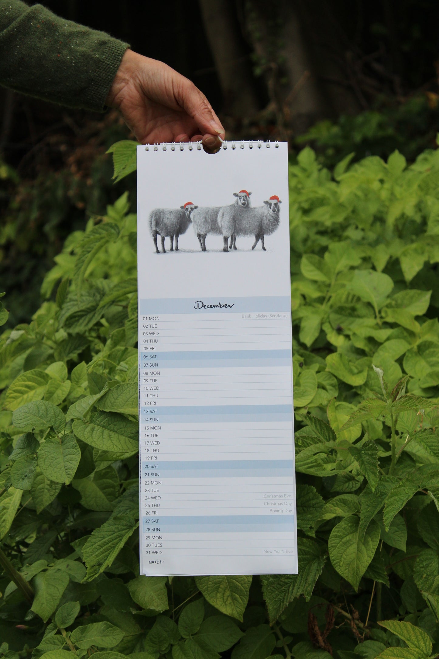 British Countryside 2025 Charity Calendar As Seen In Countryside Magazine