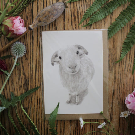 Collection image for: Greetings Cards