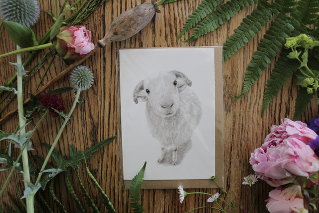 Greetings Cards