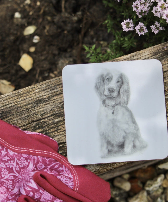 Rue Spaniel Coaster image 1