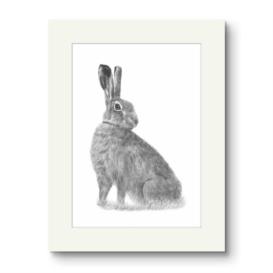 Moe Hare Mounted Print