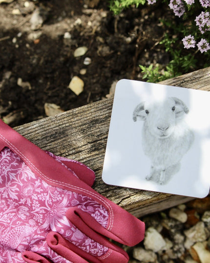 Larry Sheep Coaster image 1
