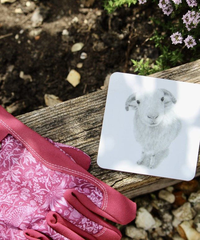 Larry Sheep Coaster image 1