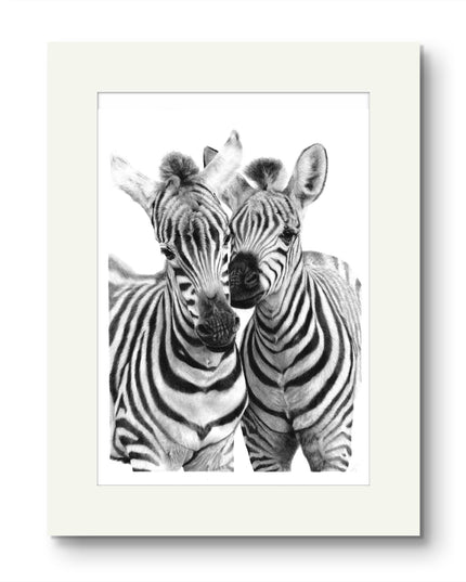 'Kindred Spirits' Zebra Foal Print From Original Artwork