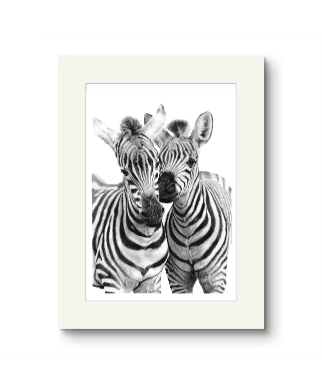 'Kindred Spirits' Zebra Foal Print From Original Artwork