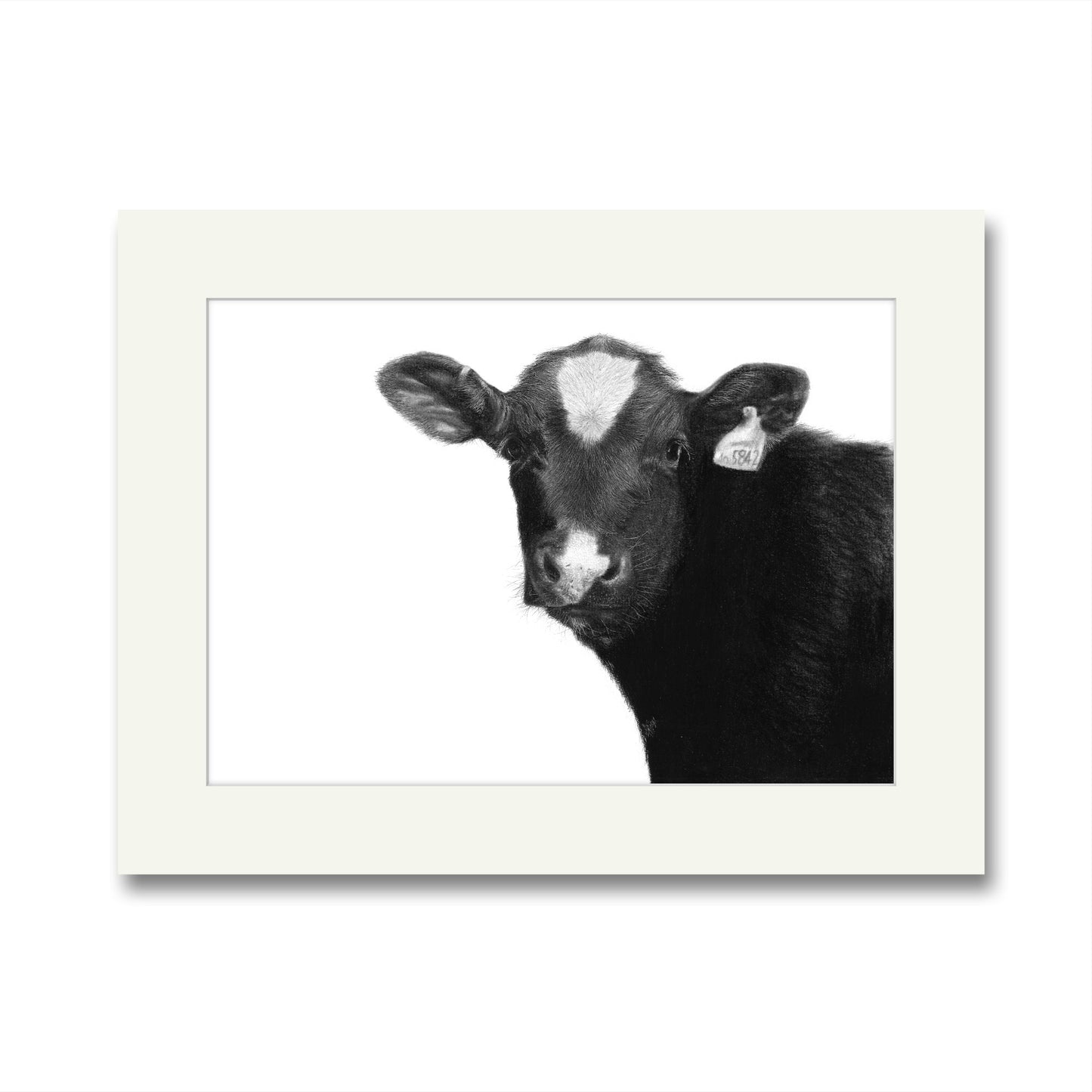 Rawston Calf Mounted Print