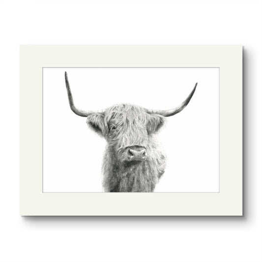 Highland Coo Mounted Print