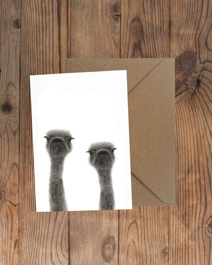 Ollie and Olive Ostrich Greeting Card image 0
