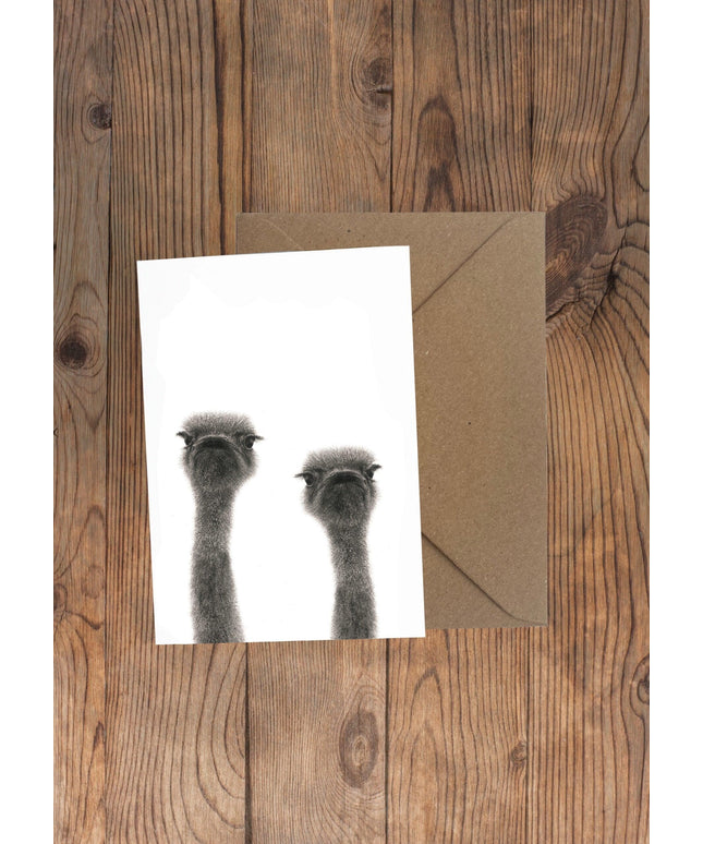 Ollie and Olive Ostrich Greeting Card image 0