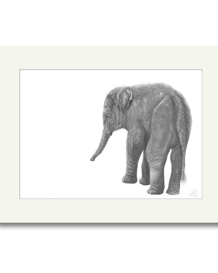 Huey Elephant Mounted Print image 0