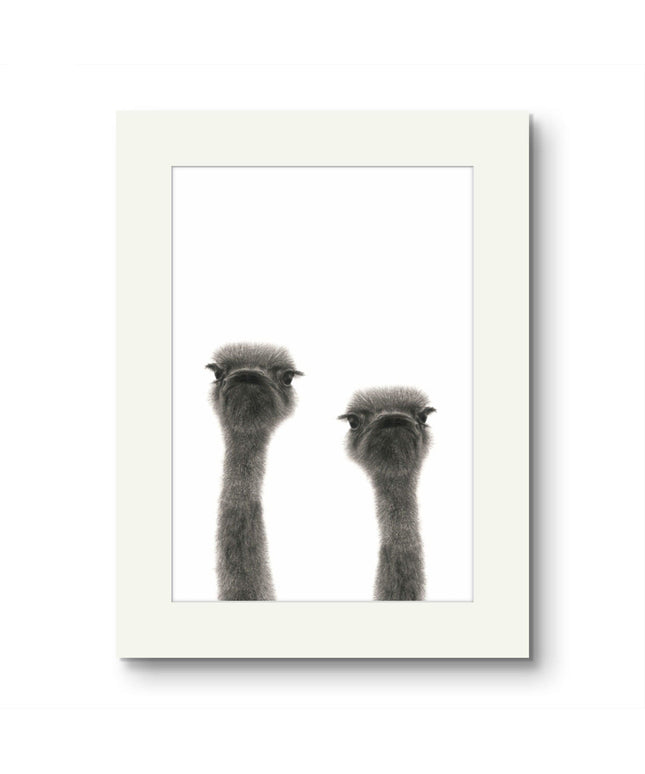 Ollie and Olive Ostrich Mounted Print image 0