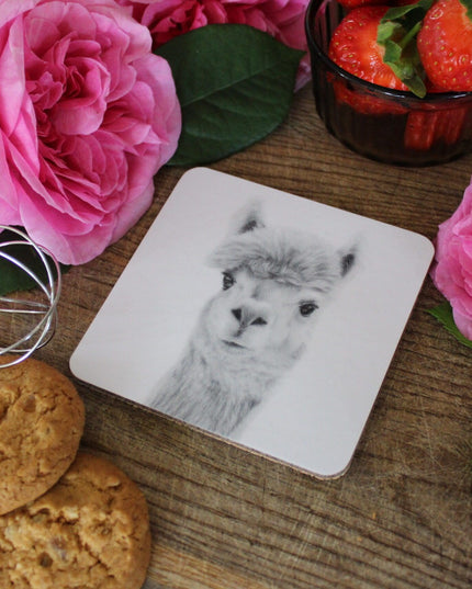 Nellie Alpaca Coaster image 3