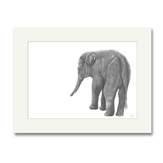 Huey Elephant Mounted Print