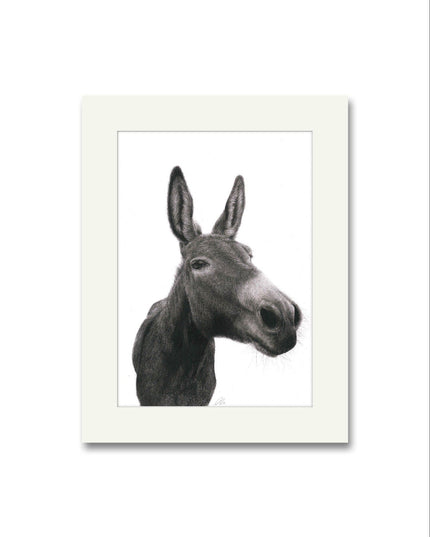 Dexter Donkey Mounted Print image 0