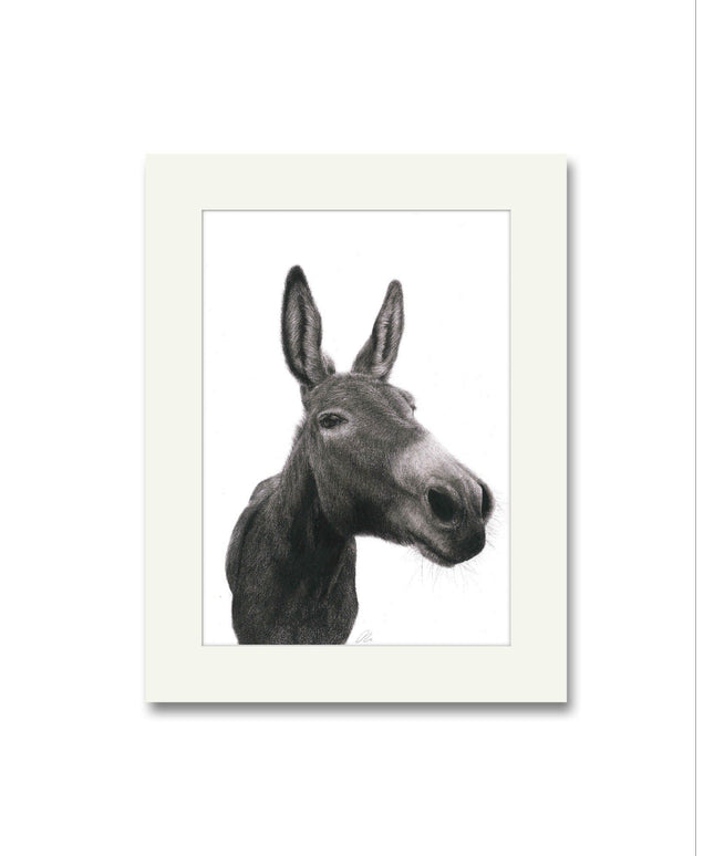 Dexter Donkey Mounted Print image 0