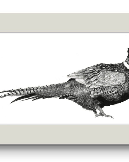 'Mr Pheasant' Limited Edition Prints /295 image 0