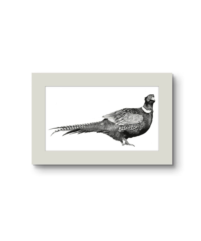 'Mr Pheasant' Limited Edition Prints /295 image 0