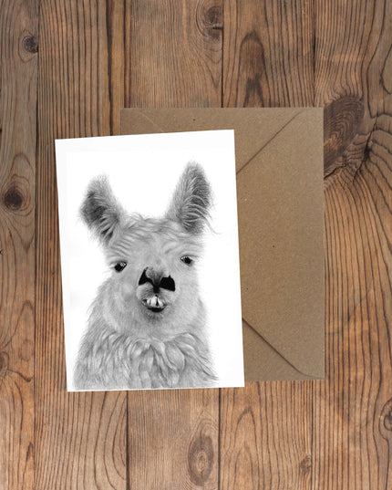 Llama Greeting Card image 0