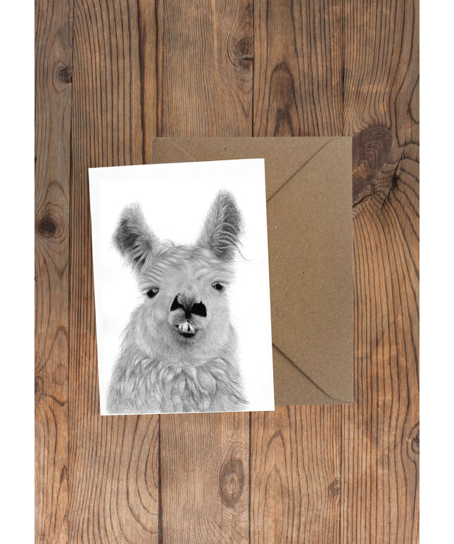 Llama Greeting Card image 0