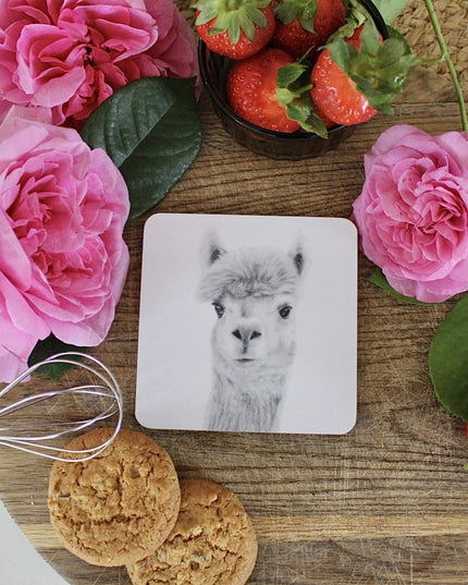 Nellie Alpaca Coaster image 1