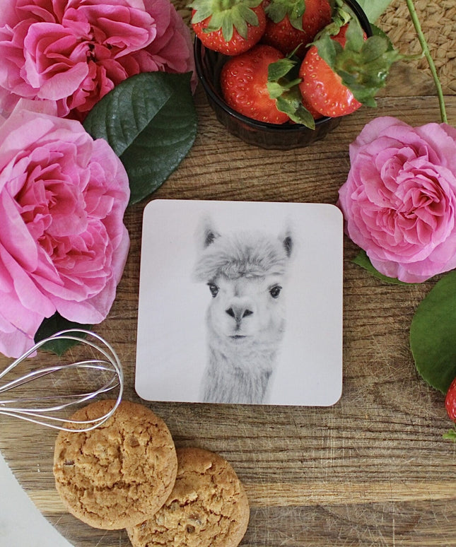 Nellie Alpaca Coaster image 1