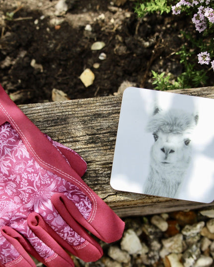 Nellie Alpaca Coaster image 2