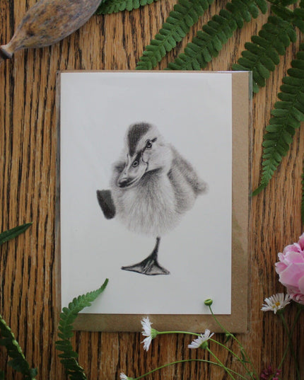Blank Greeting Card Bundle image 6