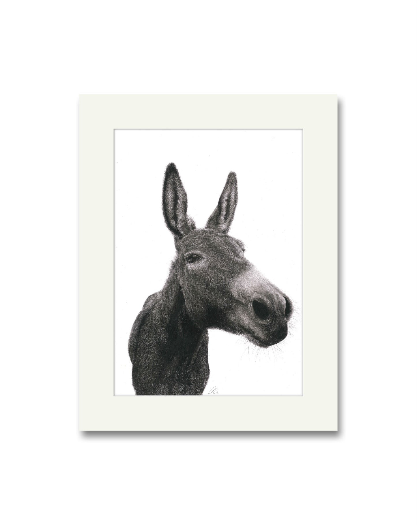 Dexter Donkey Mounted Print