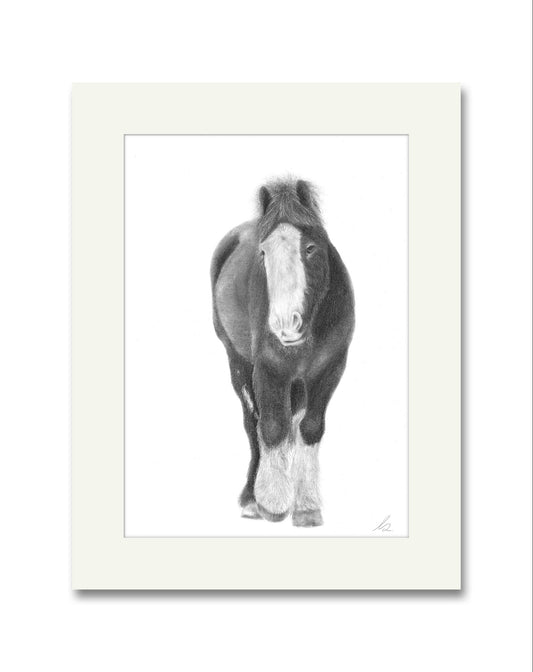 Herbie Pony Mounted Print