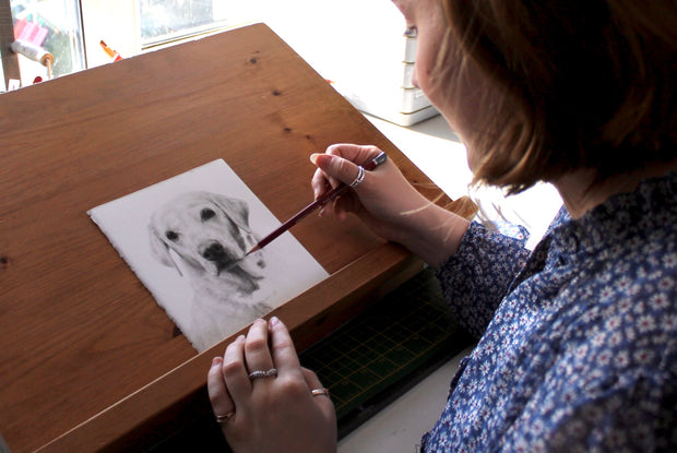 <h2>Pet Portraits</h2>