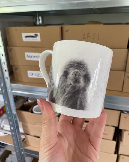 Bruce Camel Mug