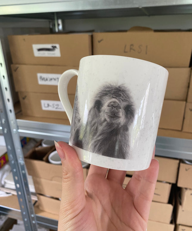 Bruce Camel Mug