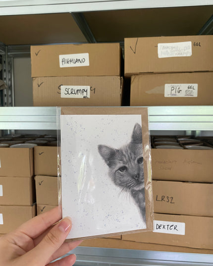 Tigger Cat Card Blue Spots