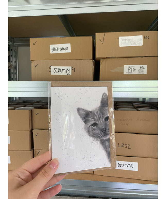 Tigger Cat Card Blue Spots