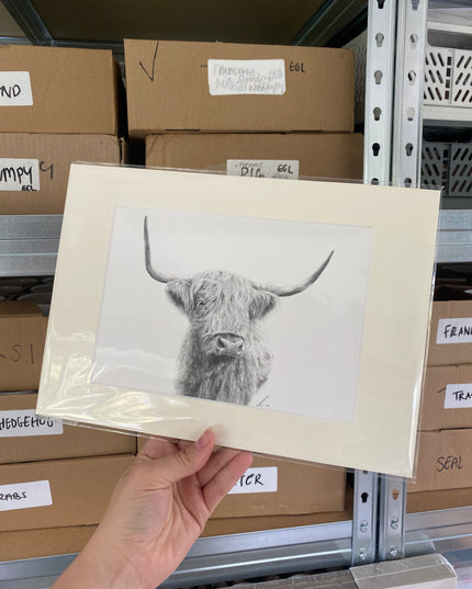Highland Cow Mounted Print