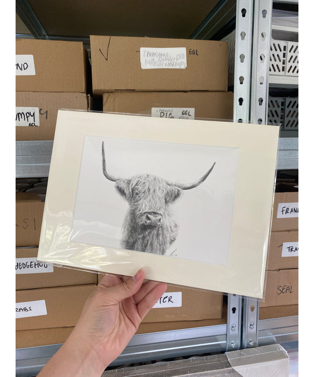 Highland Cow Mounted Print