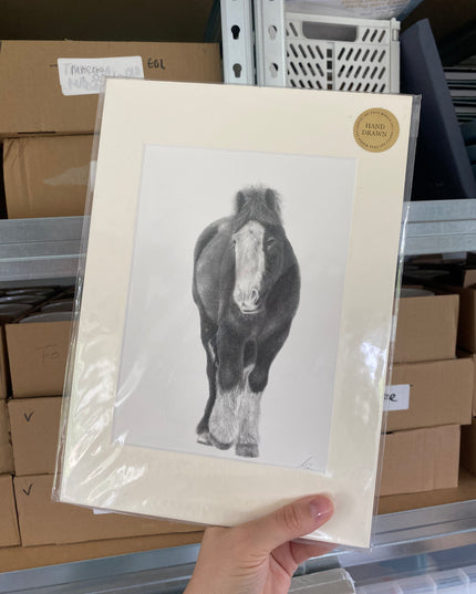 Herbie Horse Mounted Print