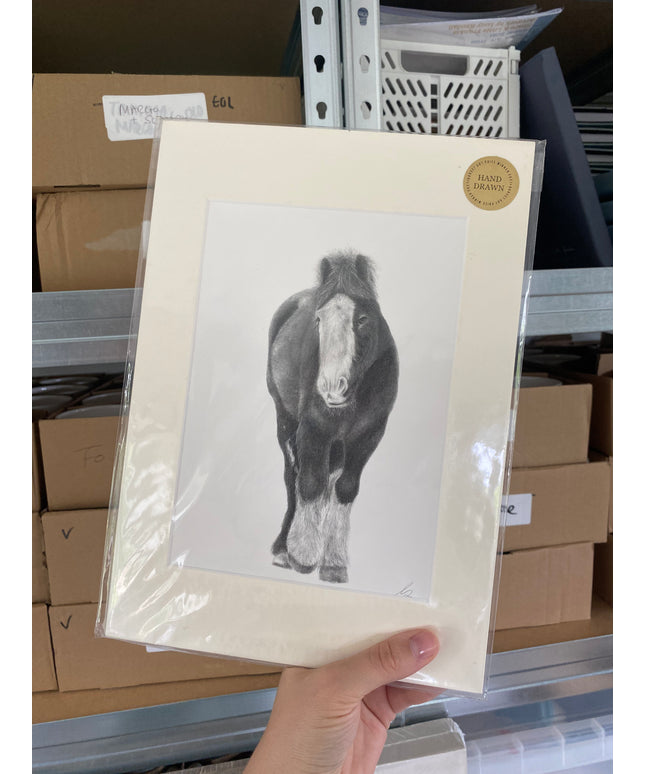 Herbie Horse Mounted Print