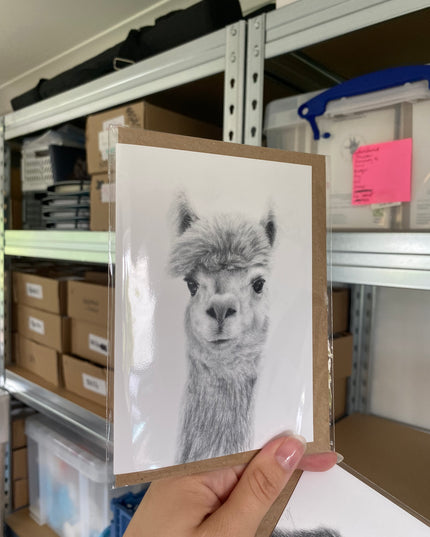 Nellie Alpaca Card