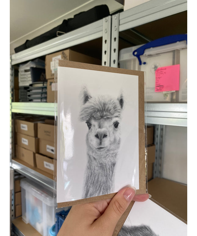 Nellie Alpaca Card