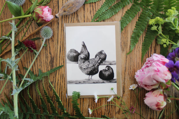 <h3>Everyday Cards</h3>