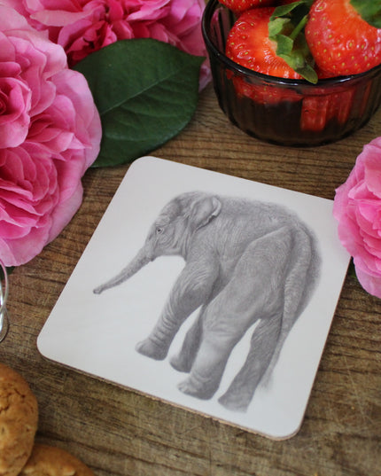 Huey Elephant Coaster