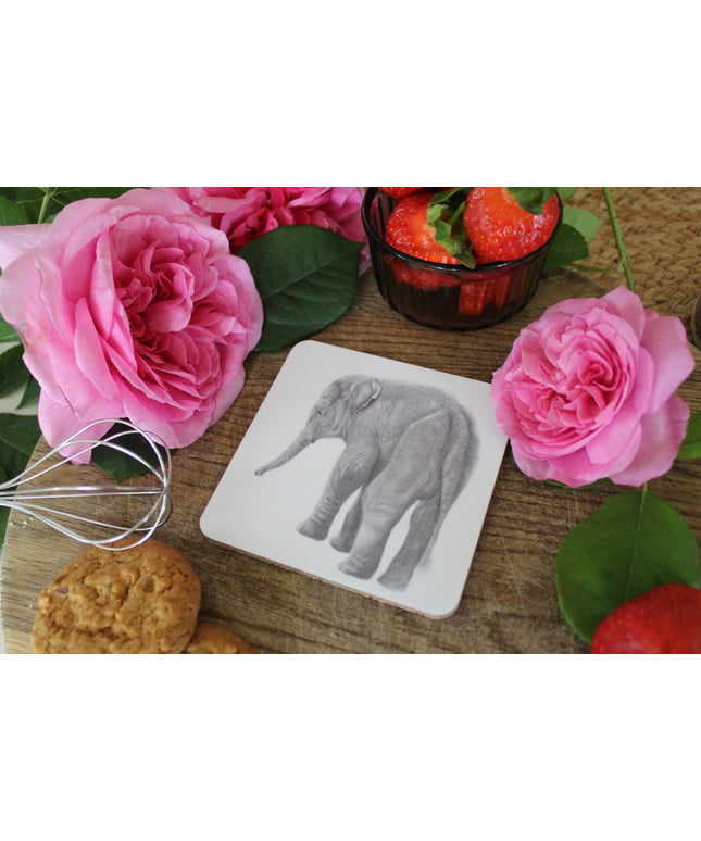 Huey Elephant Coaster