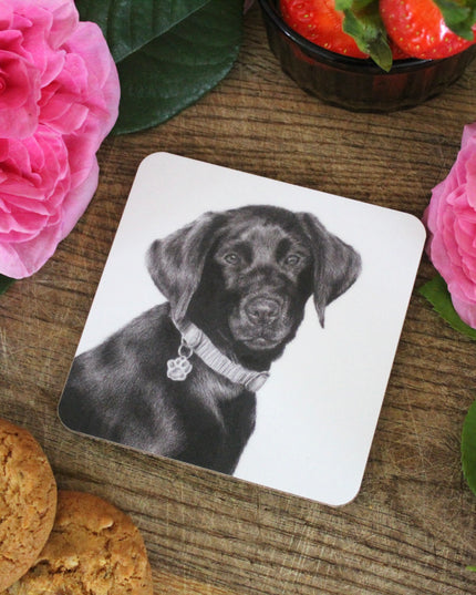 Darcy Black Lab Coaster