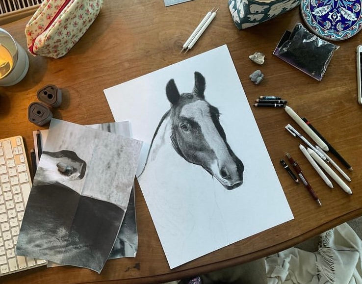 horse graphite pencil portrait