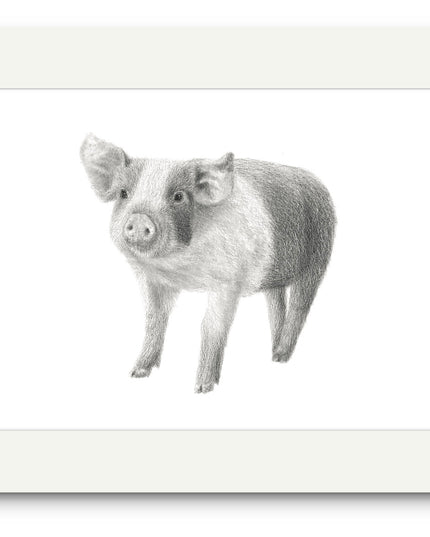 Patrick Piglet Mounted Print