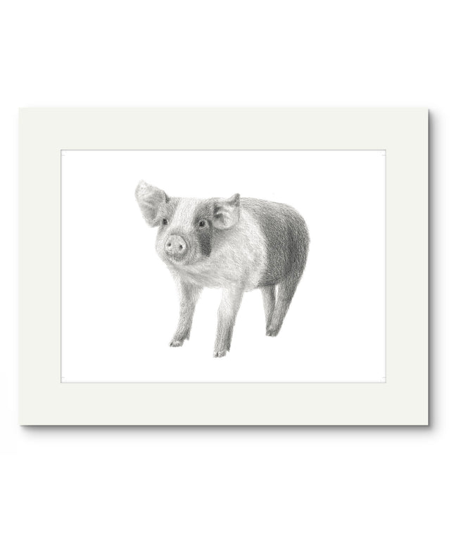 Patrick Piglet Mounted Print