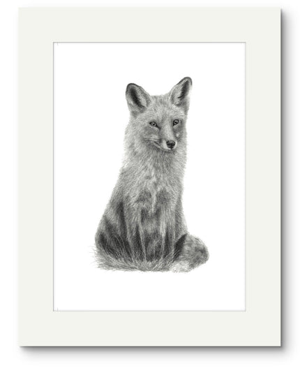 Pheobe Fox Mounted Print